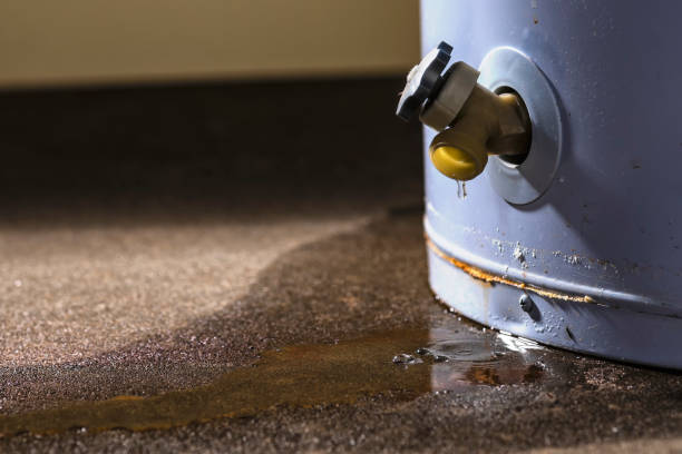 Best Water damage cleanup near me  in Forest City, FL