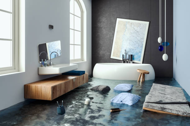 Best Water damage restoration mold remediation  in Forest City, FL