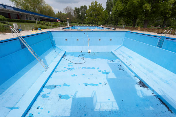 Best Local water damage restoration  in Forest City, FL