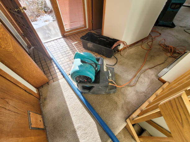 Best Commercial water damage restoration  in Forest City, FL