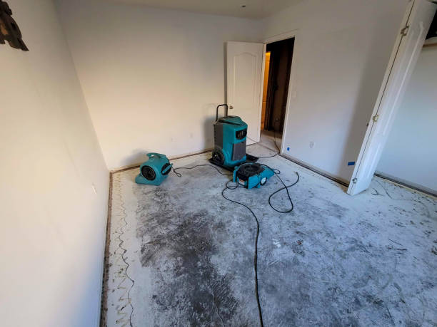 Best 24-hour water damage restoration  in Forest City, FL