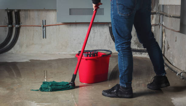 Best Flooded house restoration  in Forest City, FL
