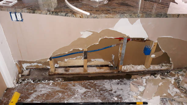 Best Residential water damage restoration  in Forest City, FL