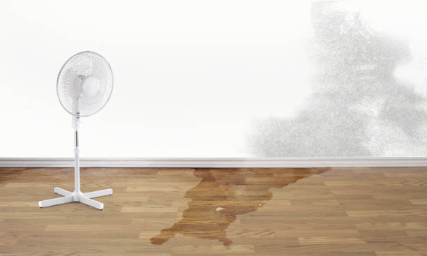 Best Flooded house restoration  in Forest City, FL