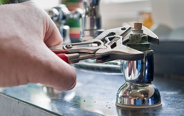 Best Water damage contractors near me  in Forest City, FL