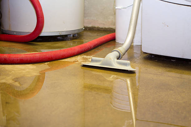 Best Professional water damage repair  in Forest City, FL