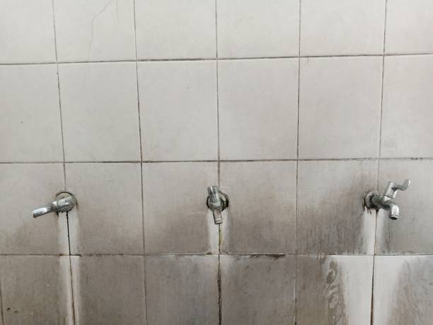 Best Water damage restoration near me  in Forest City, FL