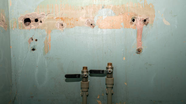 Best Water damage restoration near me  in Forest City, FL