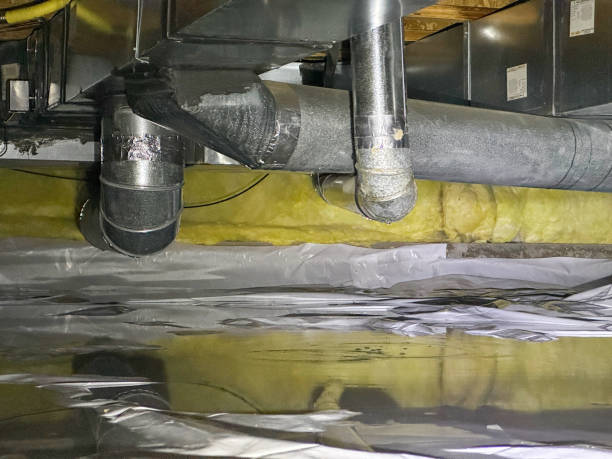 Best Water damage restoration near me  in Forest City, FL