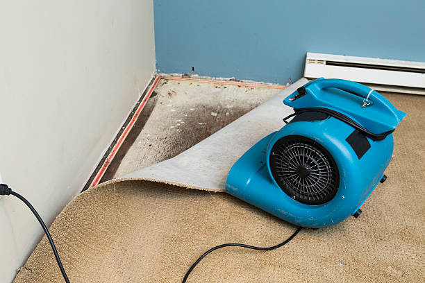 Sewage cleanup and water damage restoration in FL